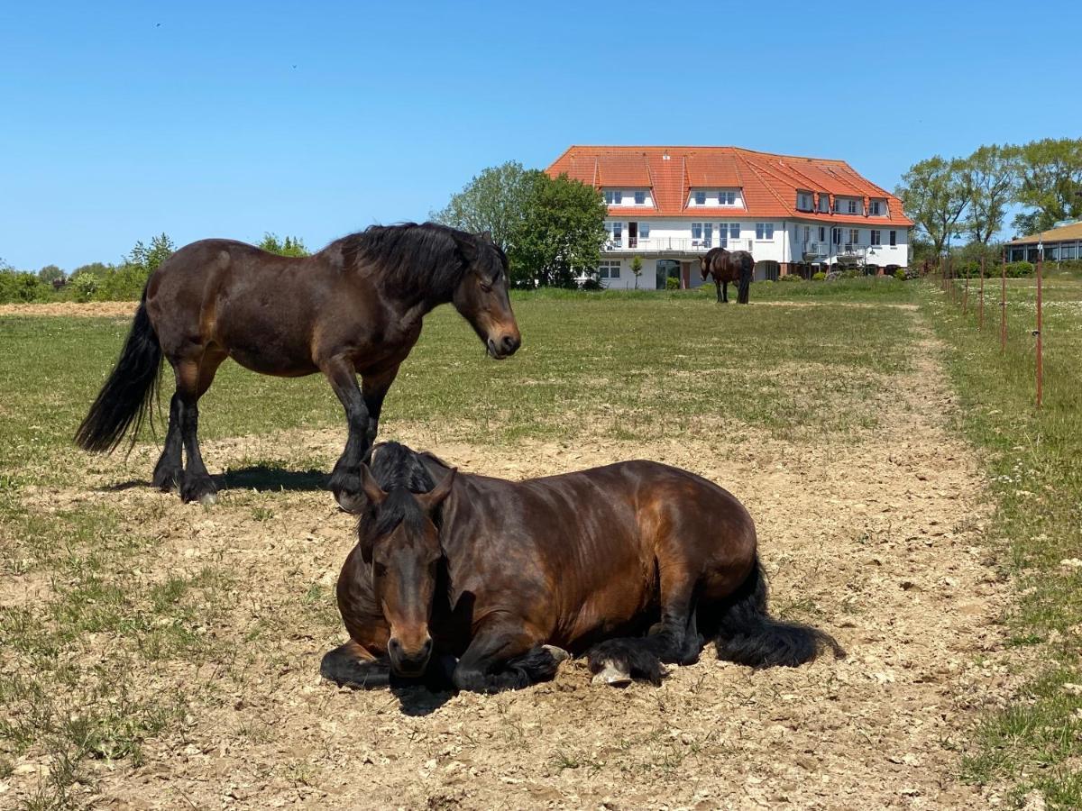 Studio "Ms Muschel" Im Ferienpark Neddesitz Exteriör bild